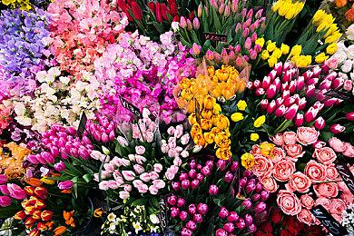 《穿越火线X》被国外玩家吐槽 大部分非常失望